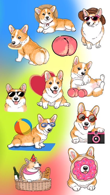 Corgi Let's Play