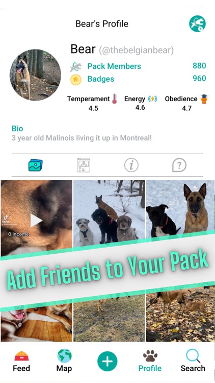 DogPack - Join the Pack screenshot-5