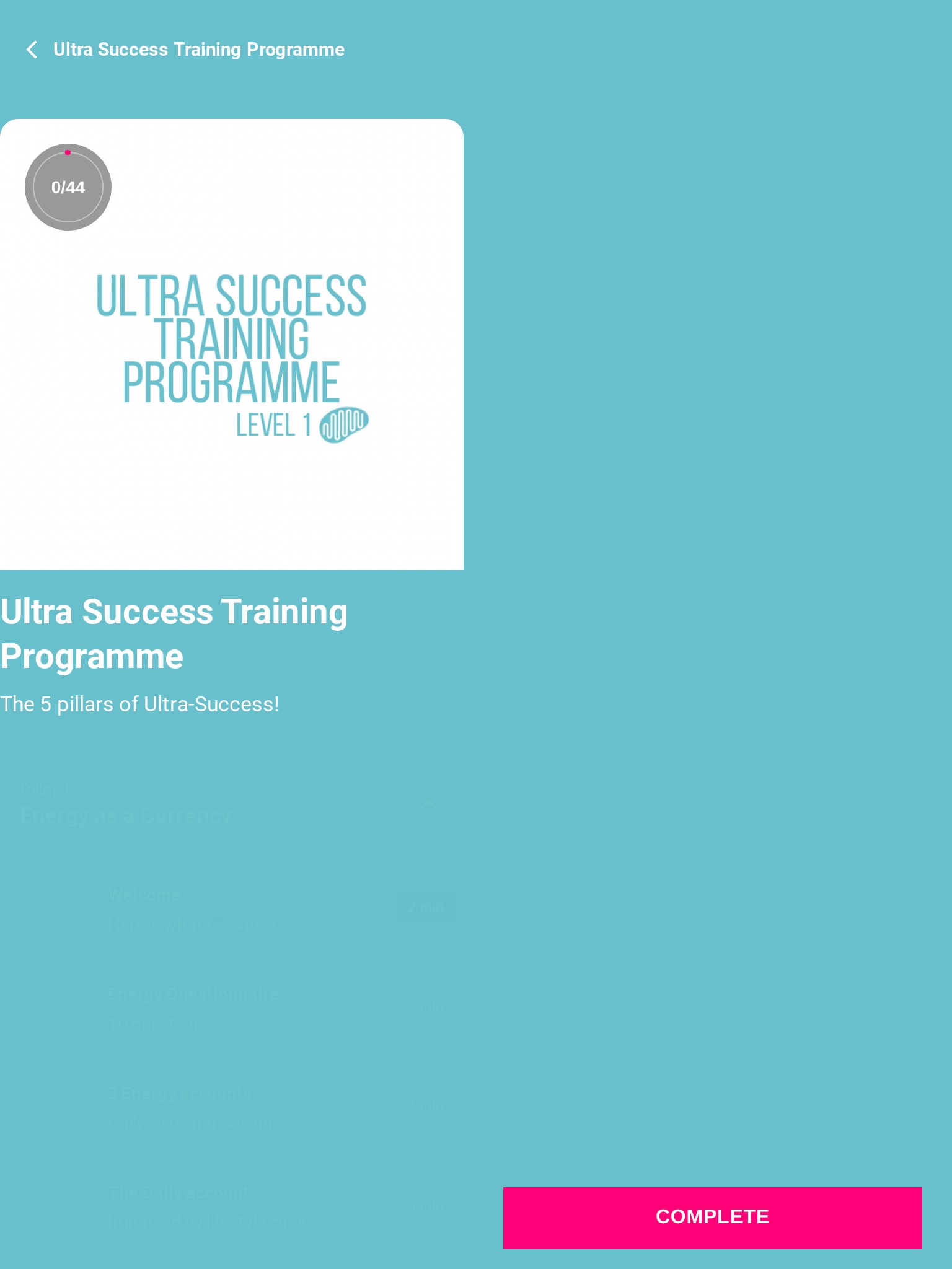 Ultra Success screenshot 4