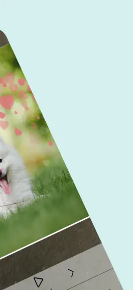 Game screenshot 펫카메라 - 예쁜 강아지 사진을 촬영해보세요. apk