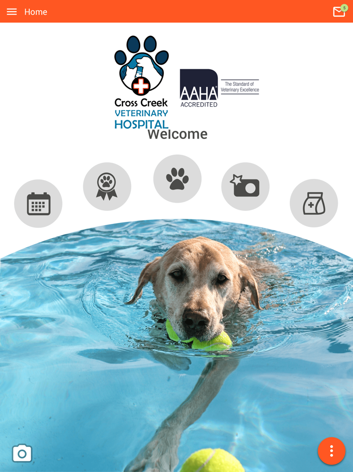 Cross Creek Vet Hospital