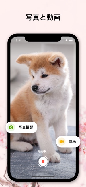 Barkio 犬用お留守番カメラ をapp Storeで