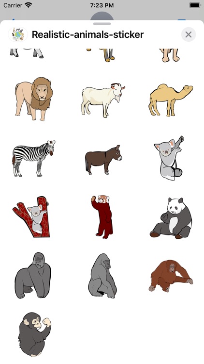 Realistic animals sticker