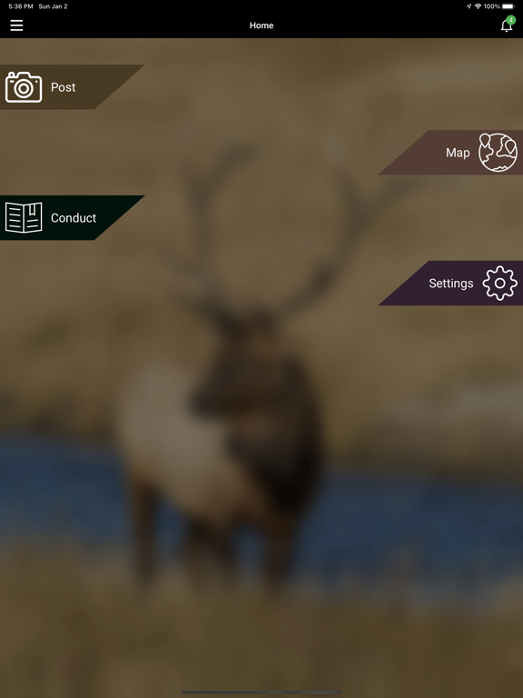 Where is the Wildlife screenshot 3