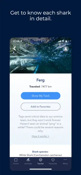 Game screenshot OCEARCH Shark Tracker hack