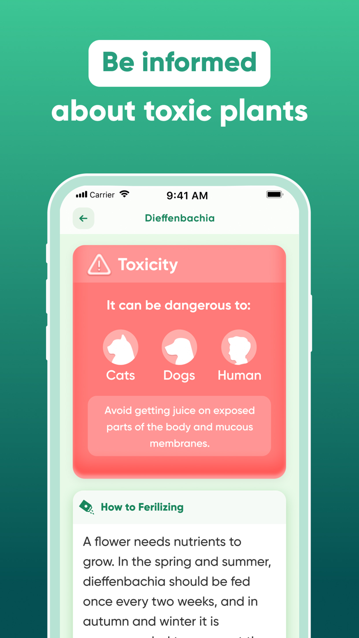Plant, Flower IdentifierCare