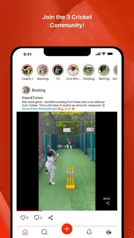 Game screenshot 3Cricket hack