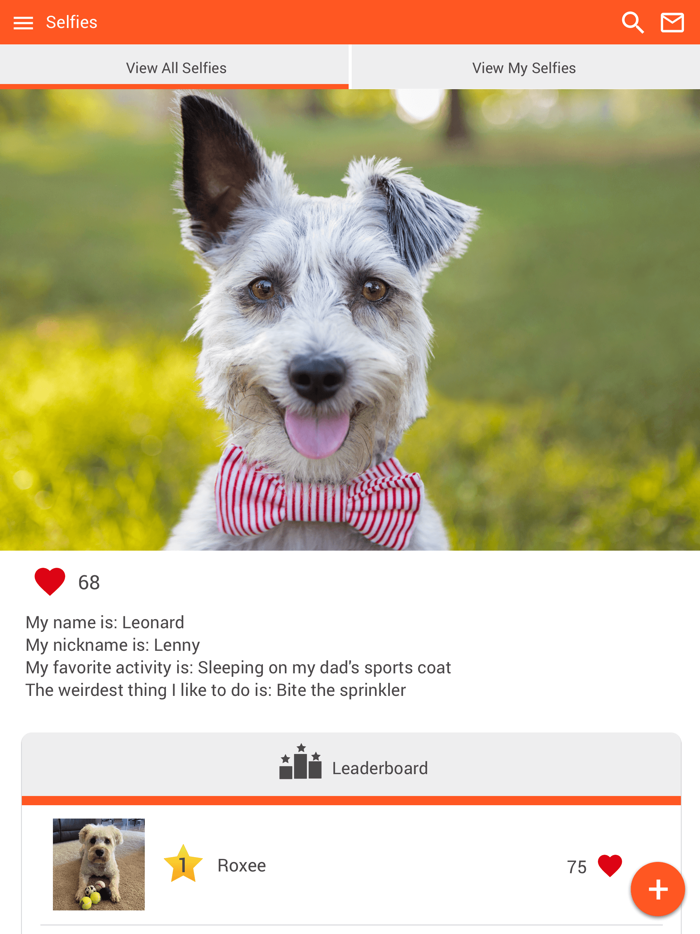 Cross Creek Vet Hospital