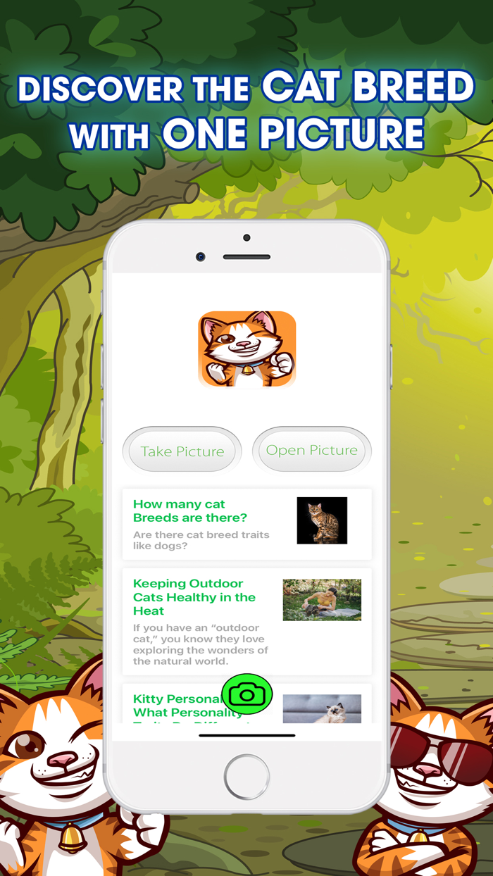 Cat Breeds Identifier