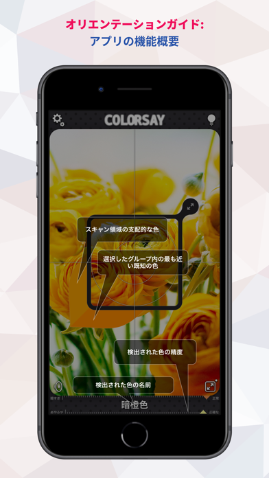 ColorSay • カラースキャナー screenshot1