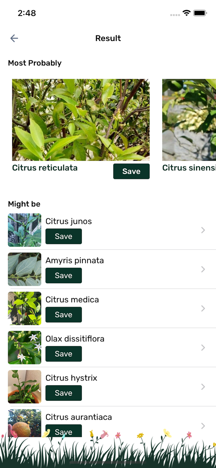 Plant Identification  Info