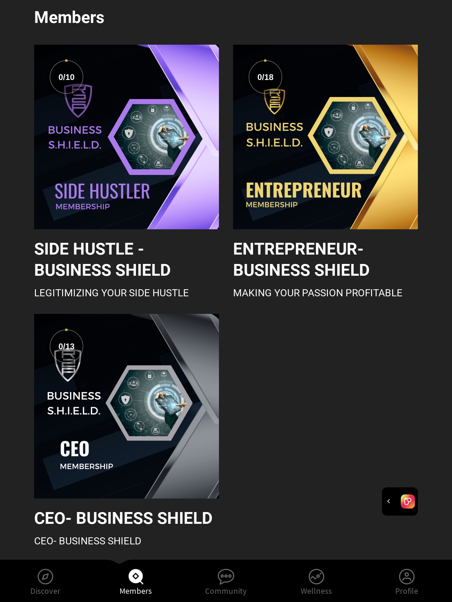 Business S.H.I.E.L.D. screenshot 2