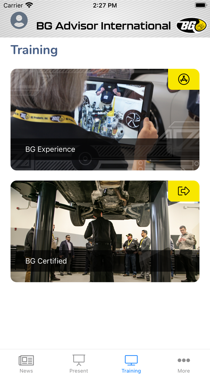 BG Advisor International