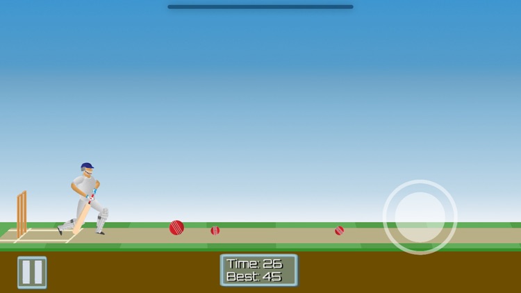 CricketMayhem: 2D Cricket Game screenshot-4