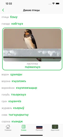 Game screenshot Словарь по бжедугскому hack