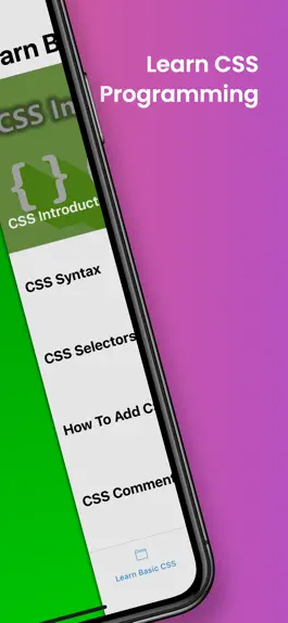 Game screenshot Learn CSS Programming apk