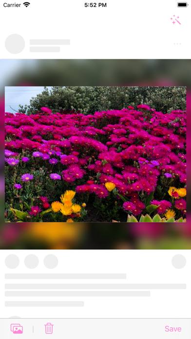 White Border: Square Fit Photo Screenshots