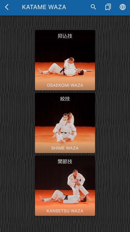 Judokai lite screenshot-3