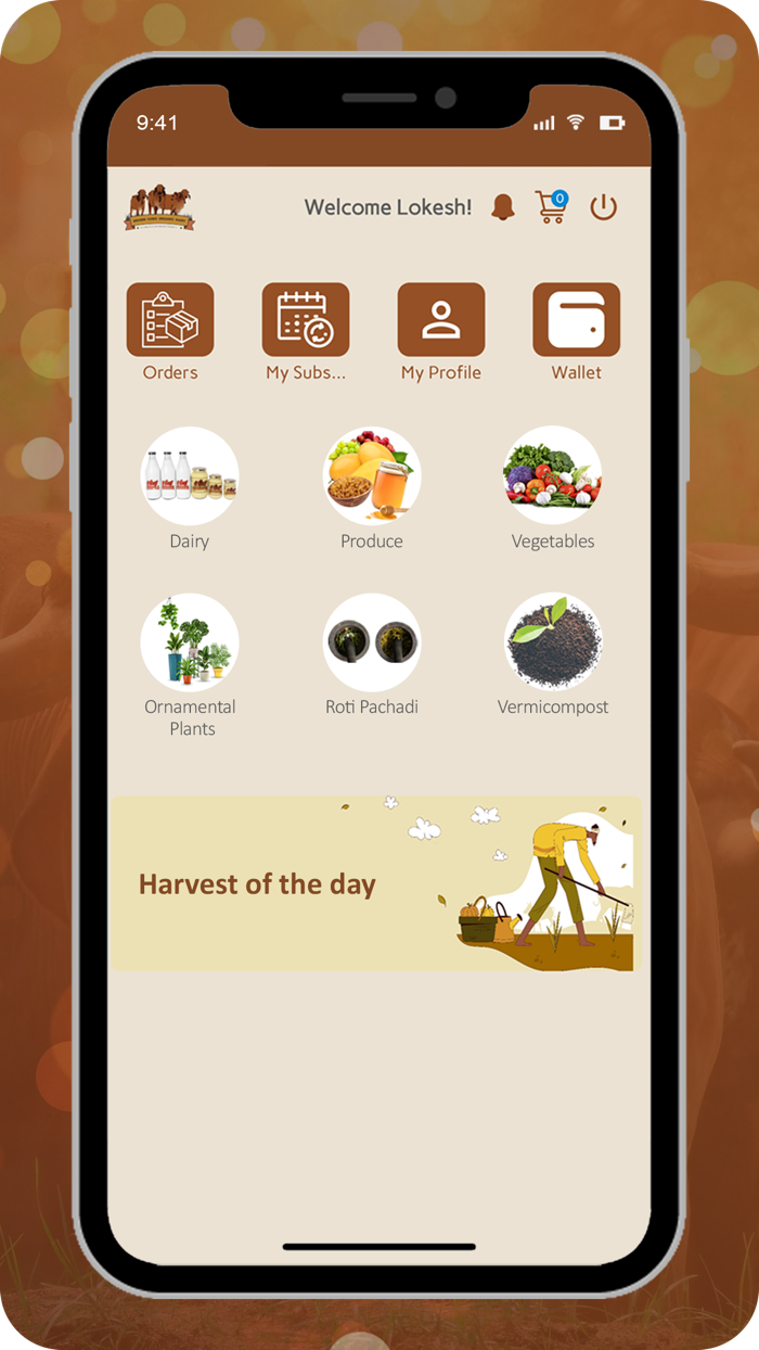 BrownCows Organic Dairy Farm