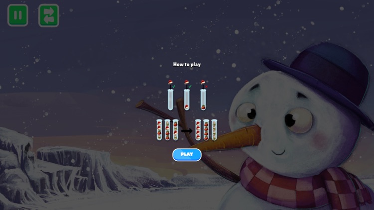 Christmas Puzzle Sort Game screenshot-3