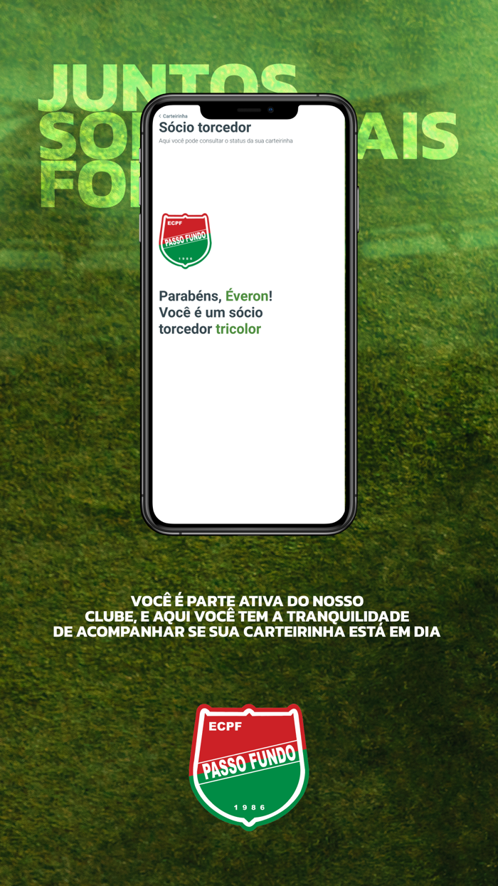 Esporte Clube Passo Fundo