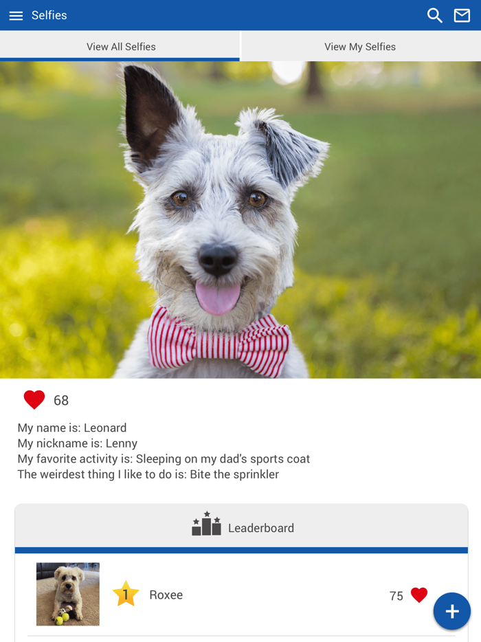 Shaffer Animal Hospital