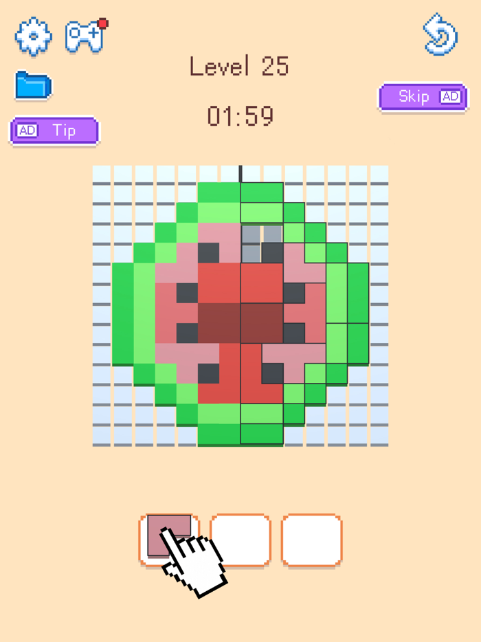 Symmetry Puzzle