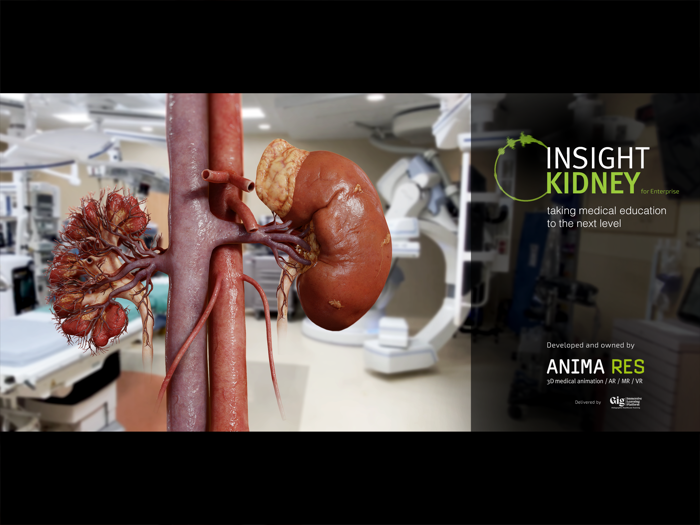 INSIGHT KIDNEY Enterprise