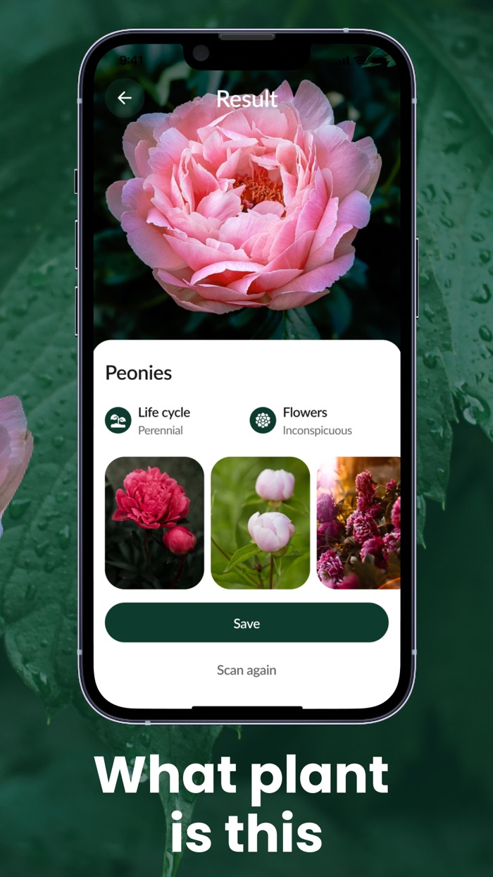 Plant Identification - PlantID