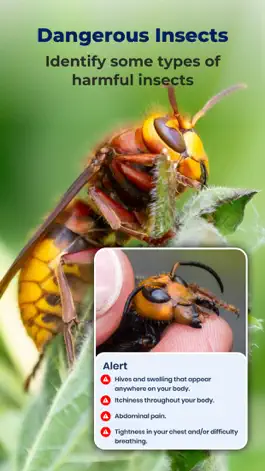 Game screenshot Bug ID: insect identification apk