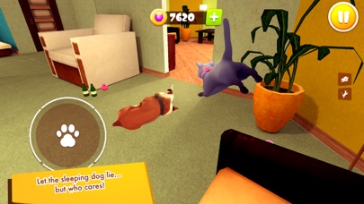 Cat Simulator 3D - My Kitten screenshot 4