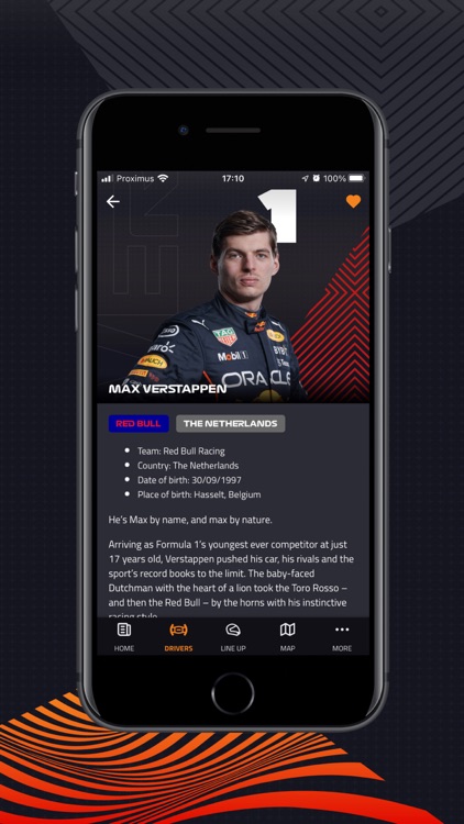 Dutch GP screenshot-3