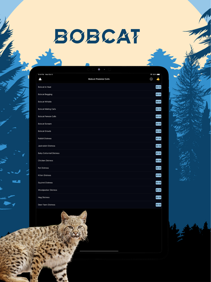 Bobcat Magnet - Predator Calls