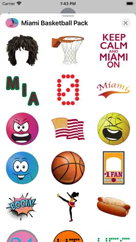 Game screenshot Miami Basketball Pack hack