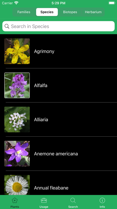 Mobile Flora - Wild Flowers screenshot 4