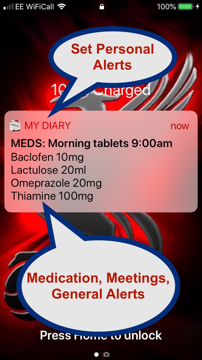 Lexters SECRET Diary