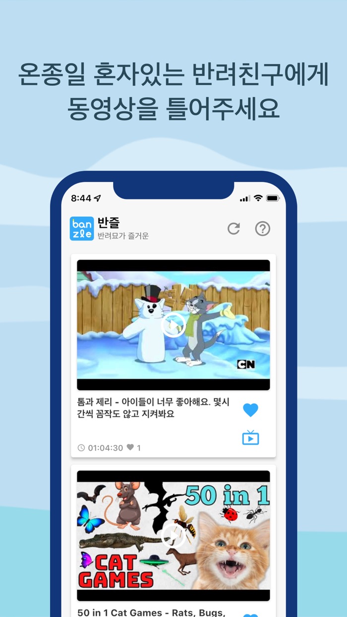 반즐 - 반려친구를 위한 동영상 CCTV