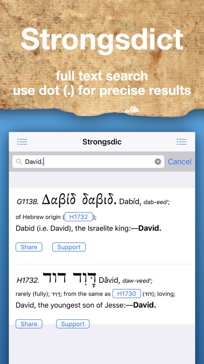 Strongsdict Greek Hebrew Dict screenshot-1