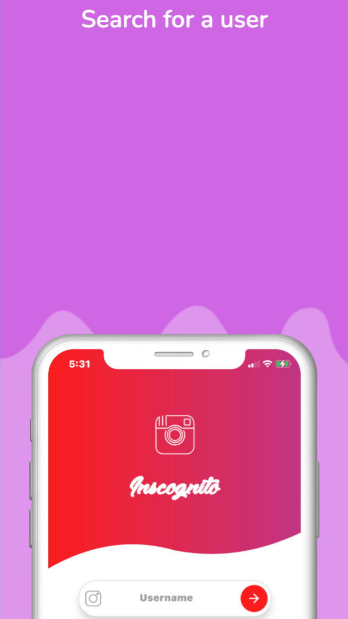 Inscognito - Story Viewer