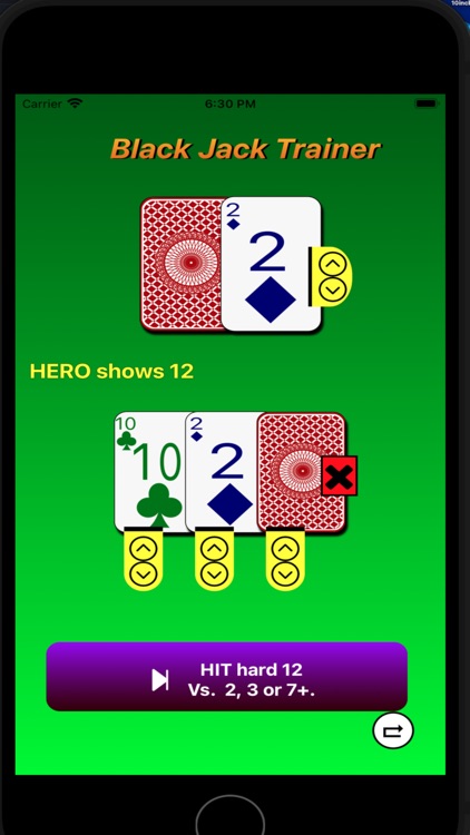 LV Black Jack PRO screenshot-3