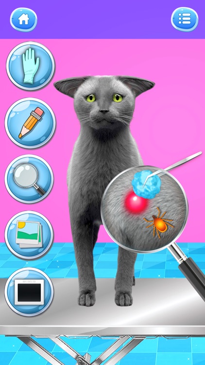 Cat Games: Pet Vet Doctor Care