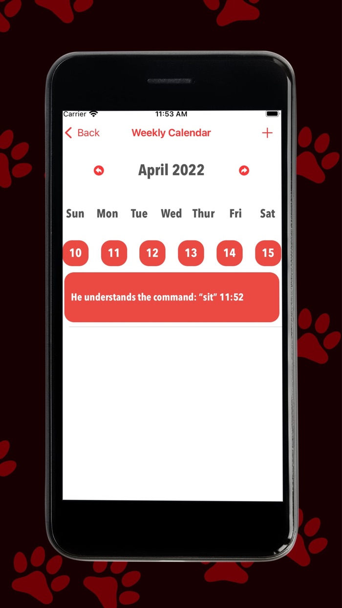 Red Dog - Play and Train