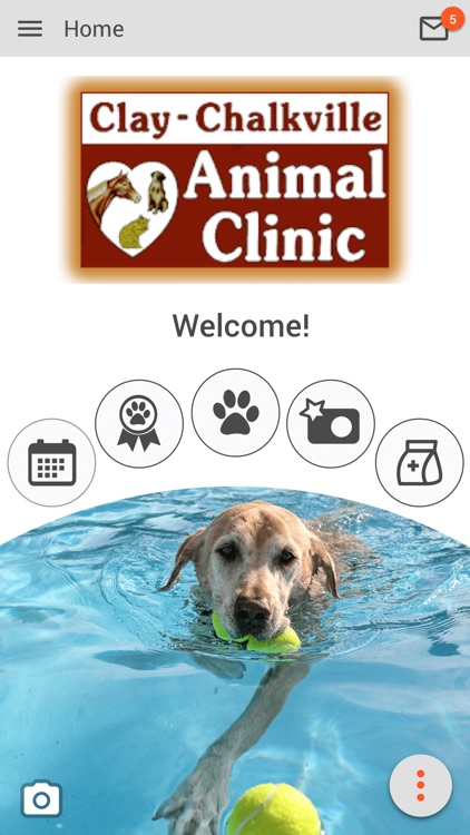 Clay Chalkville Animal Clinic by Clay Chalkville Animal Clinic, P.C.