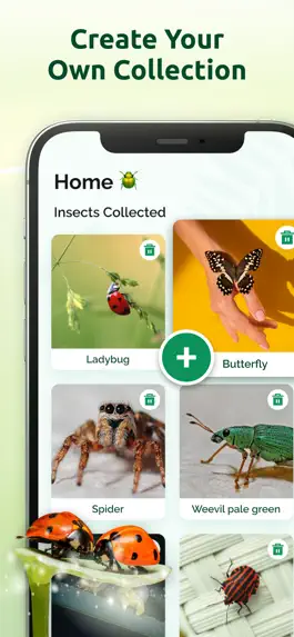 Game screenshot Bug Identifier - Insect ID App hack
