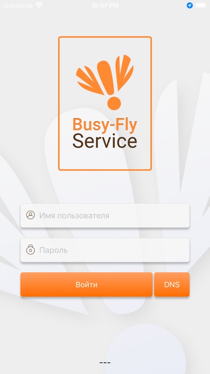 BusyFly Service