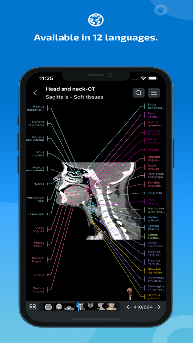 IMAIOS E-Anatomy For PC - Free Download: Windows 7,10,11 Edition