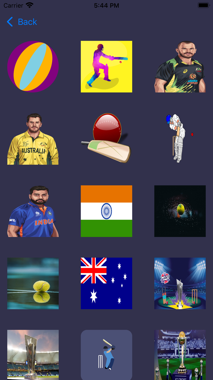 amazing cricket information