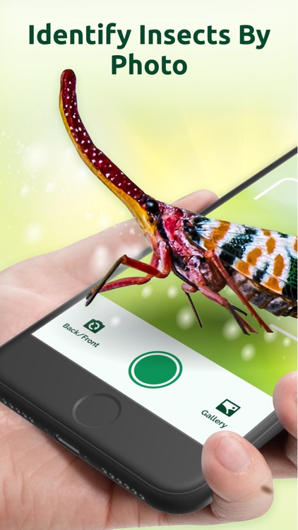 Bug Identifier - Insect ID App