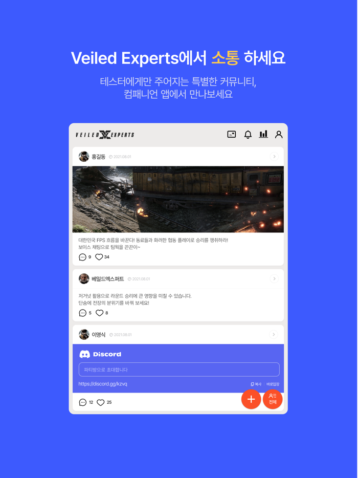 Veiled Experts Companion