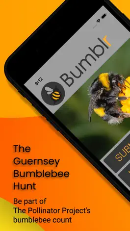 Game screenshot Bumblr - Guernsey Bumblebees mod apk